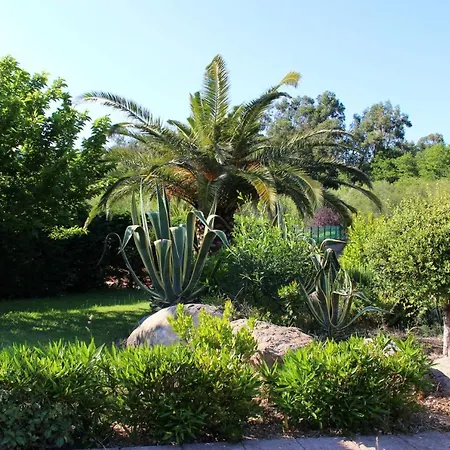 Maison D'une A Zonza A 300 M De La Plage Avec Jardin Amenage Casa vacanze