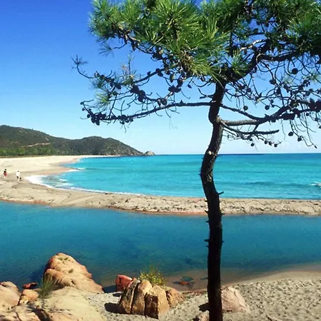Maison D'une A Zonza A 300 M De La Plage Avec Jardin Amenage Casa vacanze Conca